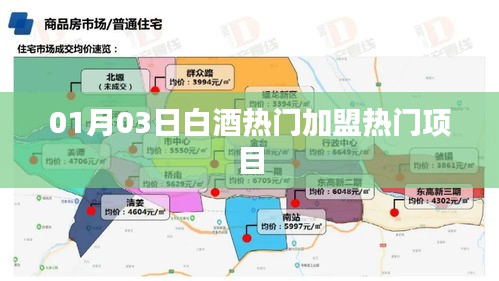 白酒加盟热门项目，把握商机在指尖