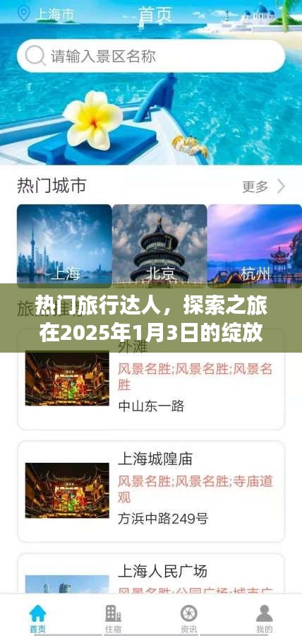 旅行达人探索之旅绽放瞬间，2025年1月3日回顾