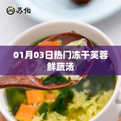热门冻干芙蓉鲜蔬汤，一月三日尝鲜季