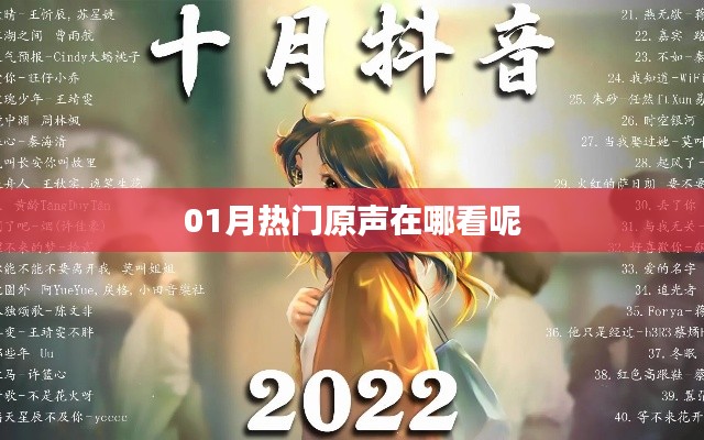01月热门原声观看指南