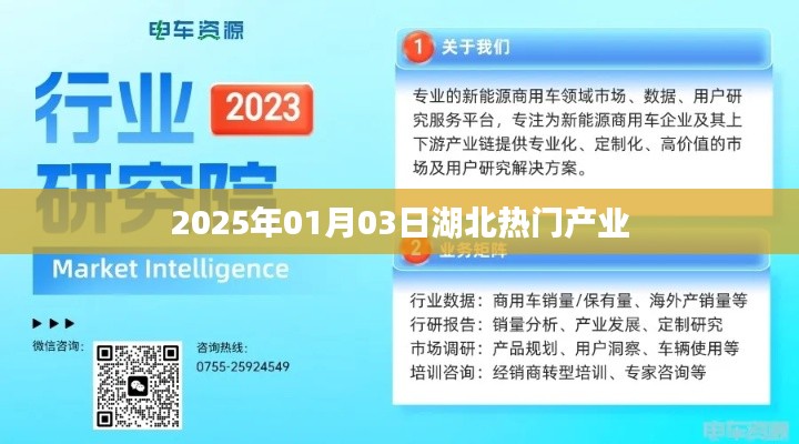 湖北热门产业展望，2025年1月3日深度解析