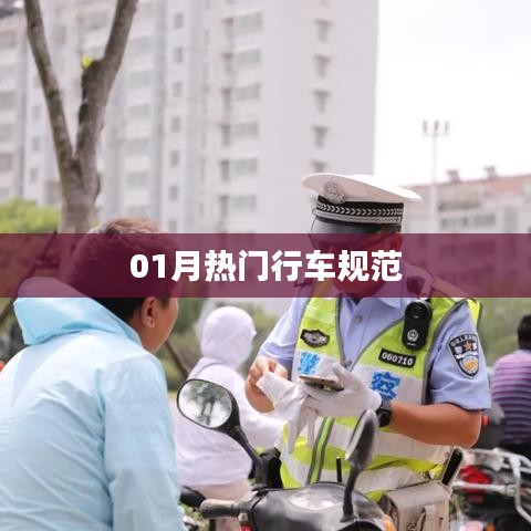 行车规范，一月热门指南