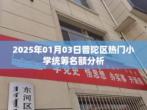 普陀区小学统筹名额分析（2025年1月）