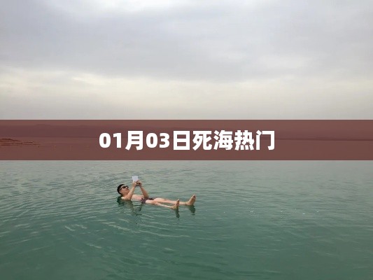 死海热门揭秘，01月03日发生了什么？