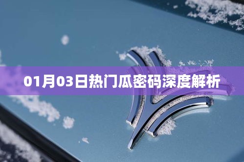 热门瓜密码深度解析，揭秘背后的故事