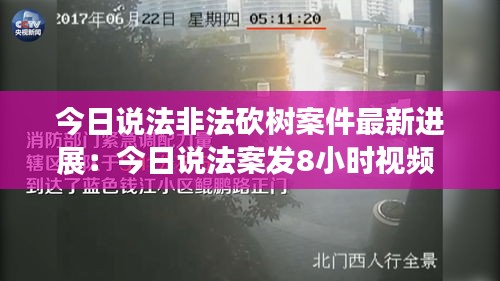 今日说法非法砍树案件最新进展：今日说法案发8小时视频 