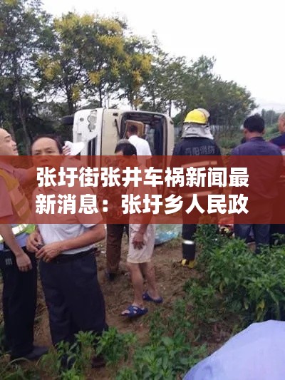 张圩街张井车祸新闻最新消息：张圩乡人民政府 