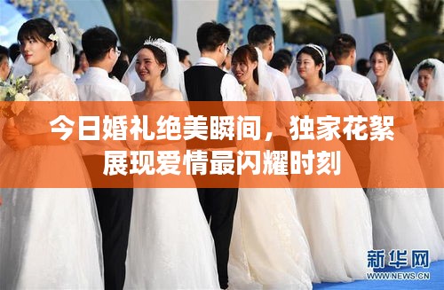 今日婚礼绝美瞬间，独家花絮展现爱情最闪耀时刻