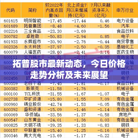 拓普股市最新动态，今日价格走势分析及未来展望