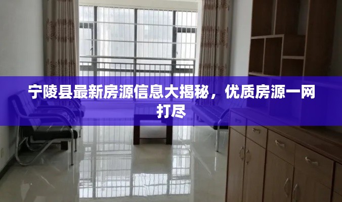 宁陵县最新房源信息大揭秘，优质房源一网打尽