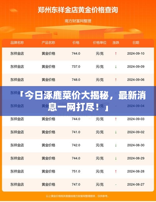 「今日涿鹿菜价大揭秘，最新消息一网打尽！」