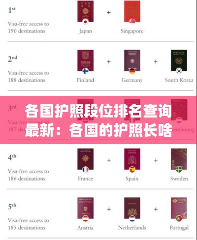 各国护照段位排名查询最新：各国的护照长啥样 