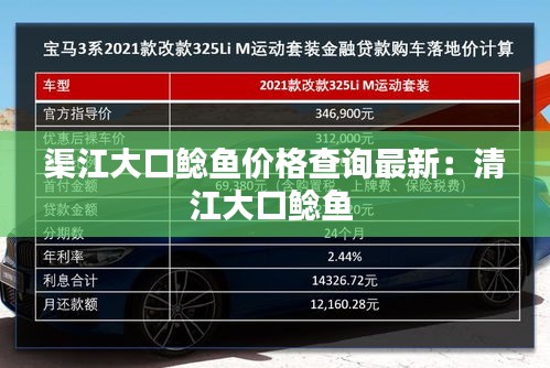 渠江大口鲶鱼价格查询最新：清江大口鲶鱼 