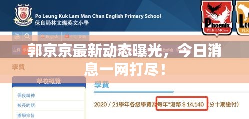 郭京京最新动态曝光，今日消息一网打尽！