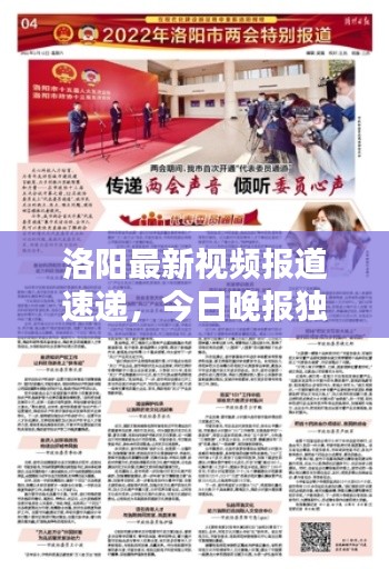 洛阳最新视频报道速递，今日晚报独家新闻