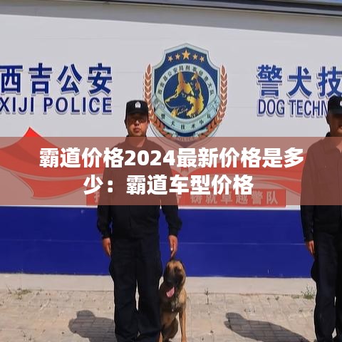 霸道价格2024最新价格是多少：霸道车型价格 