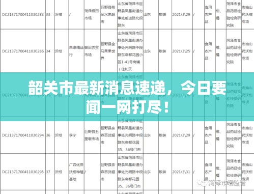 韶关市最新消息速递，今日要闻一网打尽！