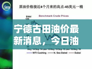 宁德古田油价最新消息，今日油价表更新及分析报告