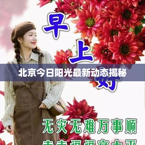 北京今日阳光最新动态揭秘