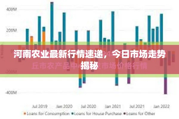 河南农业最新行情速递，今日市场走势揭秘