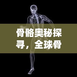 骨骼奥秘探寻，全球骨头结构魅力与排名揭秘