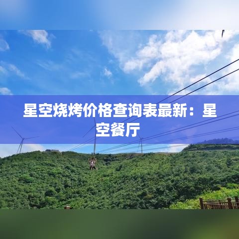 星空烧烤价格查询表最新：星空餐厅 