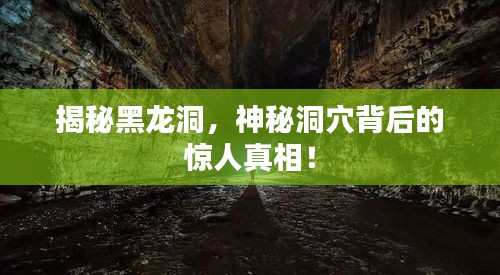 揭秘黑龙洞，神秘洞穴背后的惊人真相！