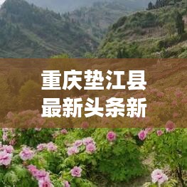 重庆垫江县最新头条新闻速递