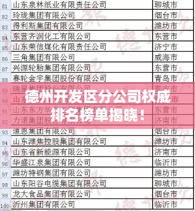德州开发区分公司权威排名榜单揭晓！