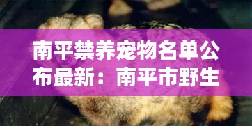 南平禁养宠物名单公布最新：南平市野生动物 