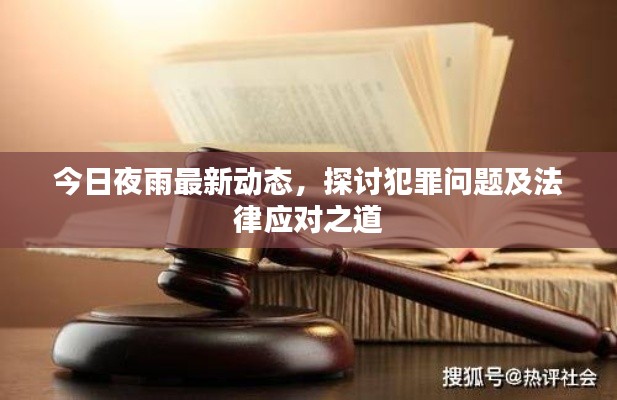 今日夜雨最新动态，探讨犯罪问题及法律应对之道