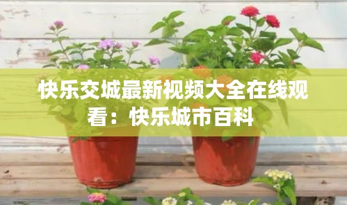 快乐交城最新视频大全在线观看：快乐城市百科 
