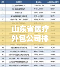 山东省医疗外包公司排行榜及影响力分析