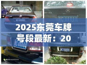自由自在 第2页