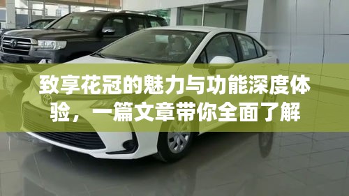 百不得一 第2页