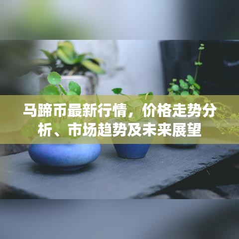 马蹄币最新行情，价格走势分析、市场趋势及未来展望