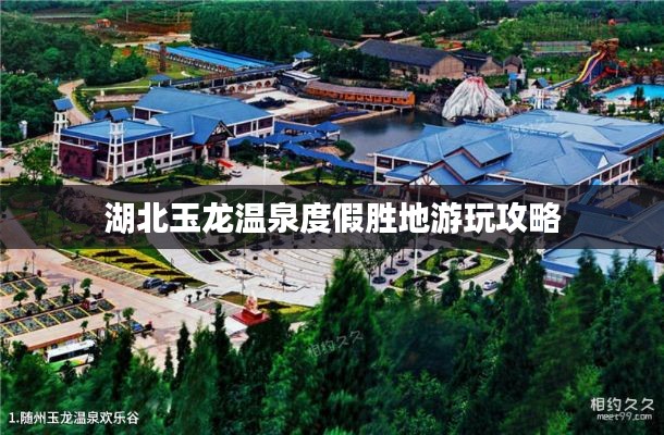 惊弓之鸟 第3页