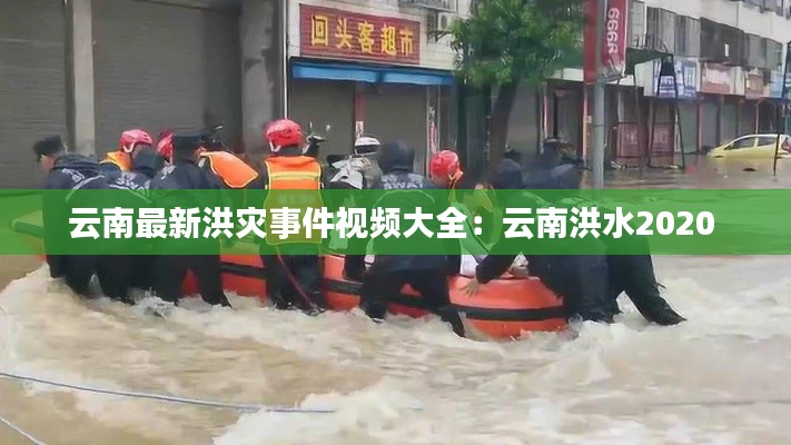 初告白 第2页