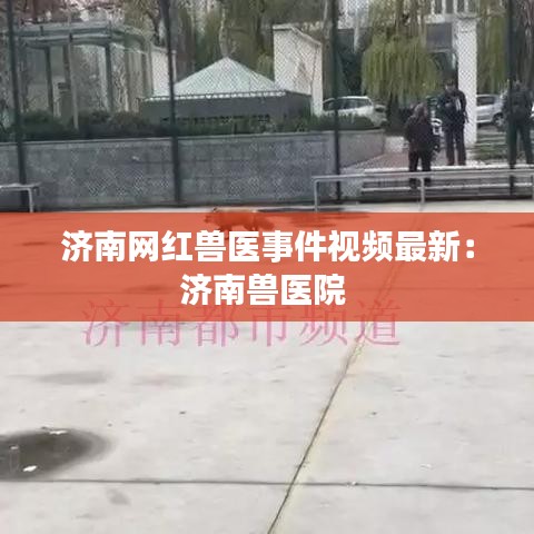 济南网红兽医事件视频最新：济南兽医院 