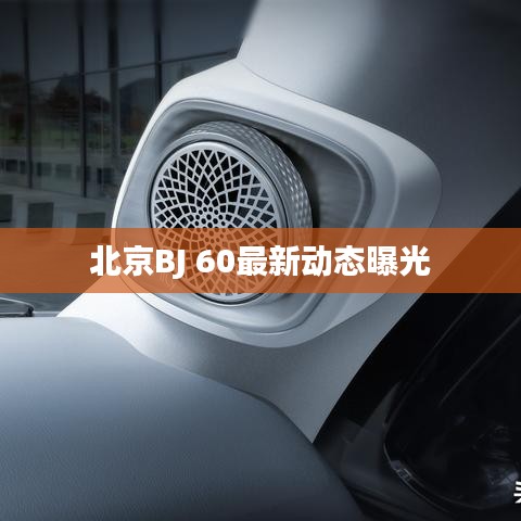 七嘴八张 第3页