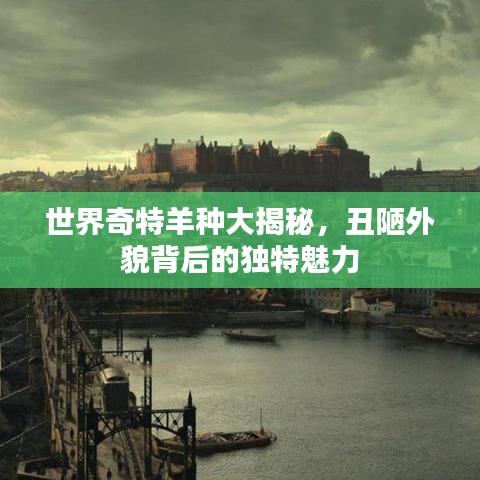 世界奇特羊种大揭秘，丑陋外貌背后的独特魅力