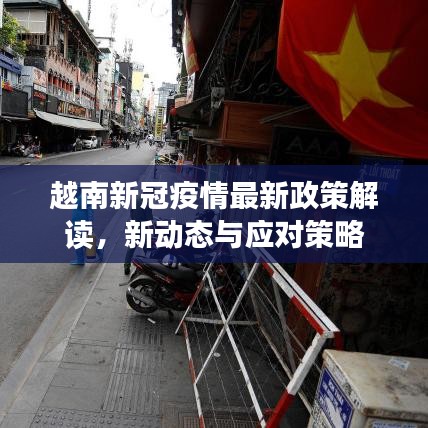 越南新冠疫情最新政策解读，新动态与应对策略