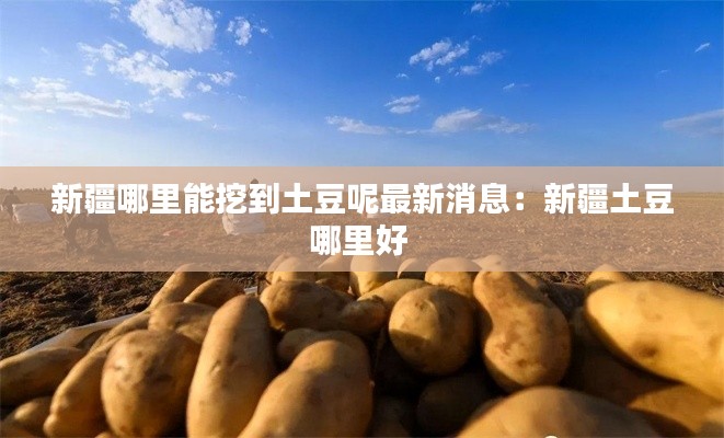 重张旗鼓 第3页