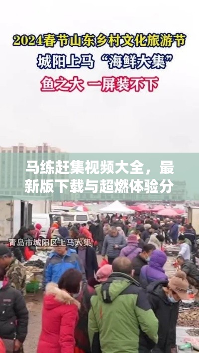 马练赶集视频大全，最新版下载与超燃体验分享
