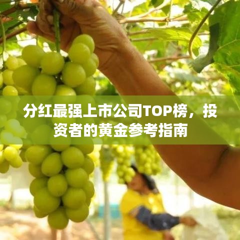 分红最强上市公司TOP榜，投资者的黄金参考指南