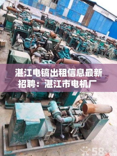 湛江电镐出租信息最新招聘：湛江市电机厂 
