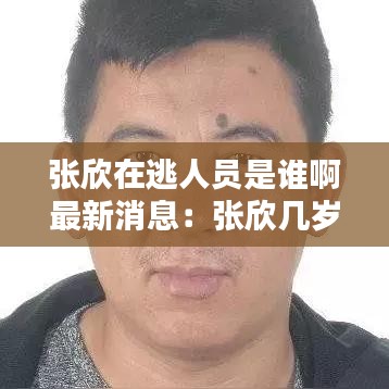 张欣在逃人员是谁啊最新消息：张欣几岁 