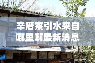 辛厝寮引水来自哪里啊最新消息：辛厝寮租房 