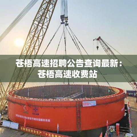 苍梧高速招聘公告查询最新：苍梧高速收费站 