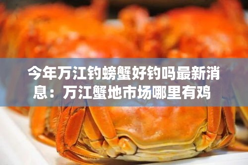 今年万江钓螃蟹好钓吗最新消息：万江蟹地市场哪里有鸡 